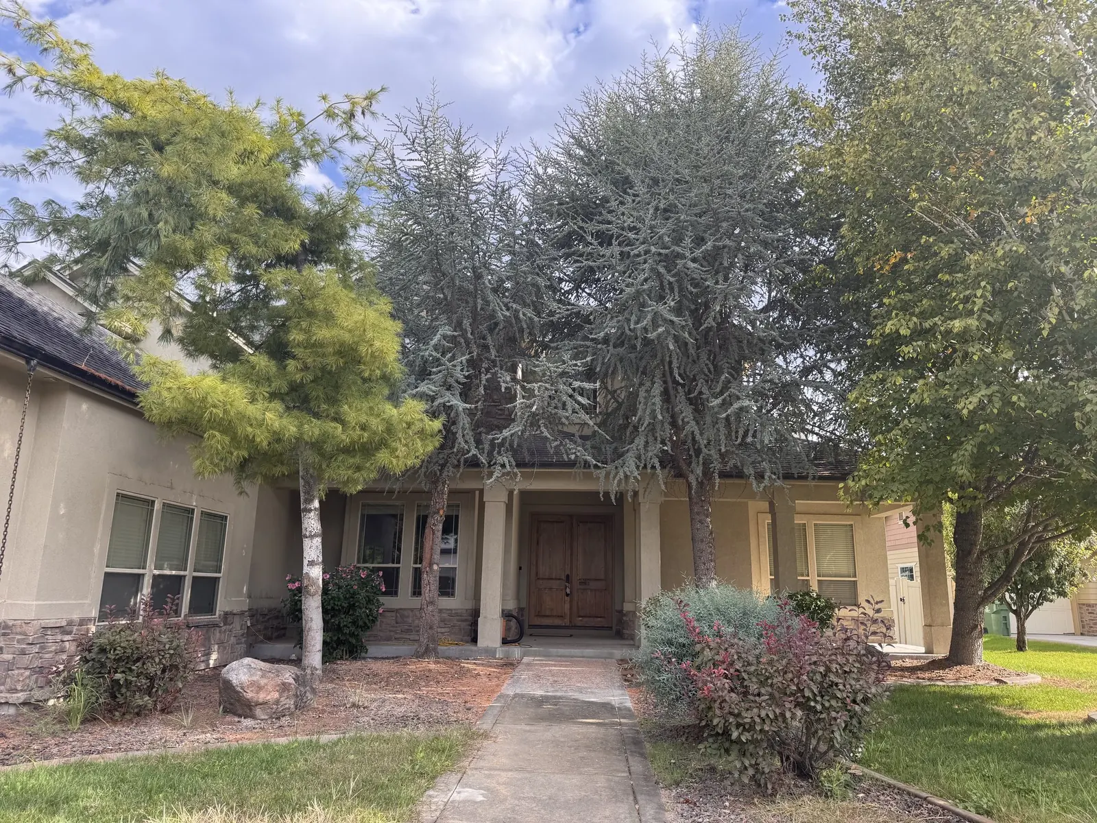 Front yard before: overgrown spruce trees obscuring the house and dated landscaping